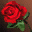 Visitor`s Mark