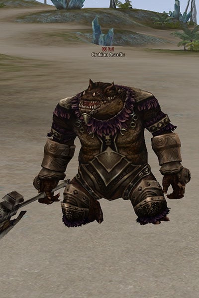 Crokian Ascetic